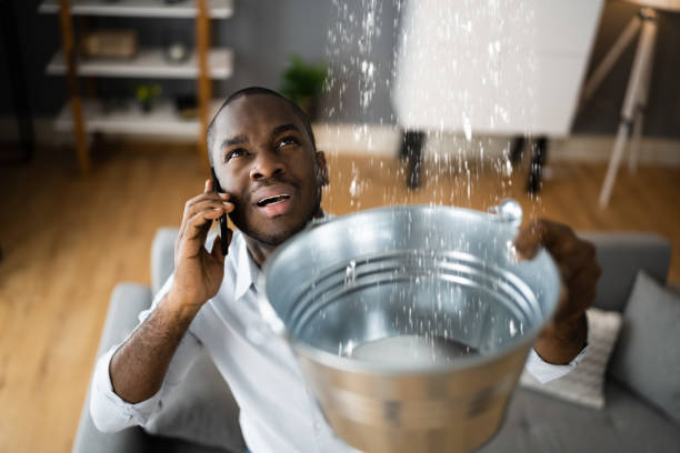 Best Local water damage restoration  in Shrub Oak, NY