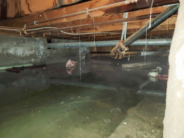 Best Water damage restoration near me  in Shrub Oak, NY