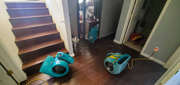 Best 24/7 water damage repair  in Shrub Oak, NY
