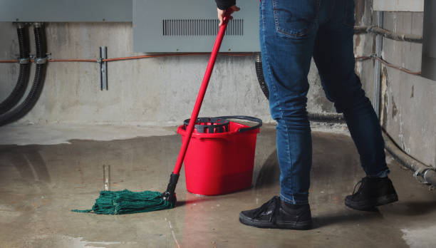 Best Professional water damage repair  in Shrub Oak, NY