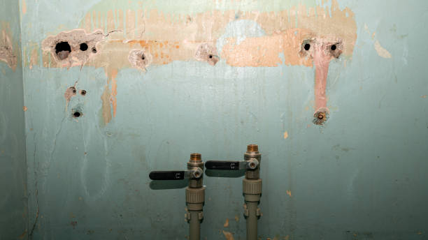 Best Commercial water damage restoration  in Shrub Oak, NY
