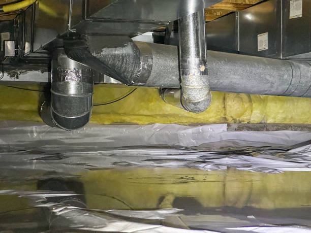 Best Flood damage cleanup  in Shrub Oak, NY