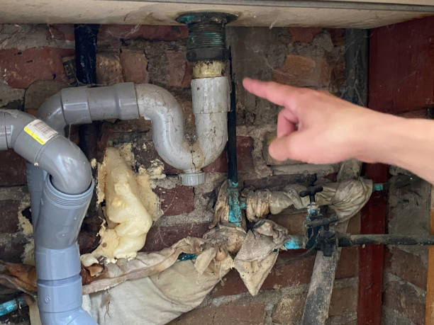 Best Sewage cleanup and water damage restoration  in Shrub Oak, NY