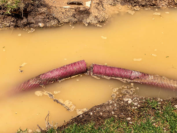 Best Water damage mitigation services  in Shrub Oak, NY